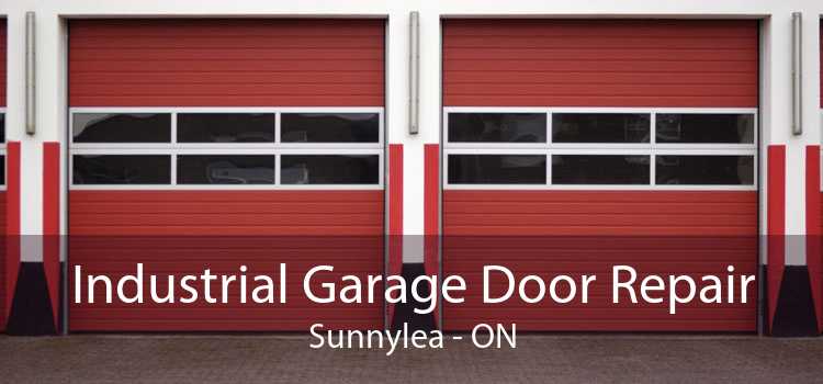Industrial Garage Door Repair Sunnylea - ON