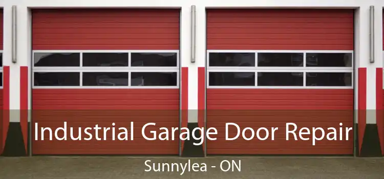 Industrial Garage Door Repair Sunnylea - ON