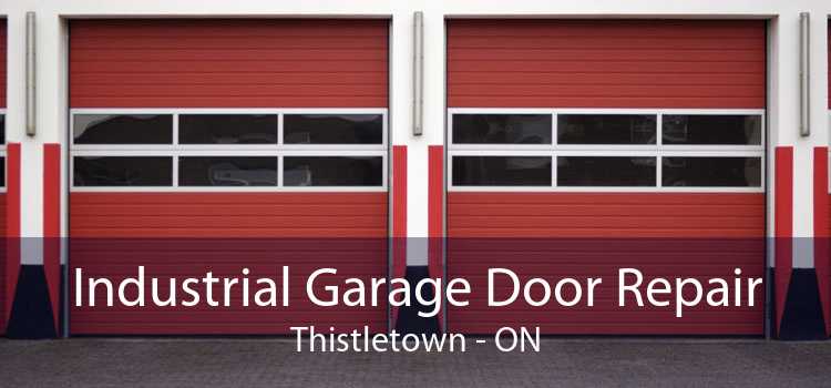 Industrial Garage Door Repair Thistletown - ON