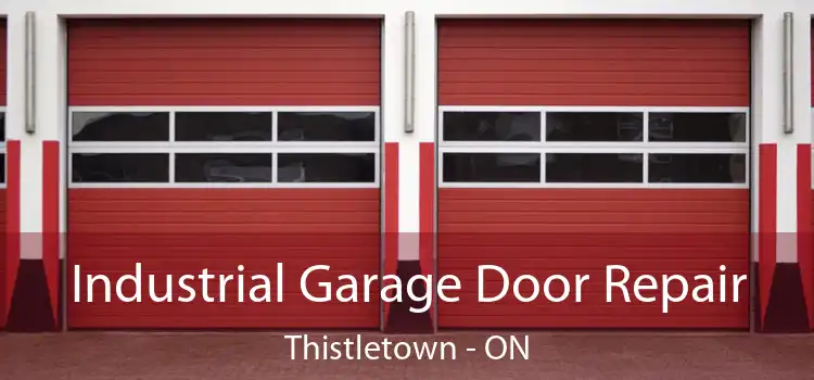 Industrial Garage Door Repair Thistletown - ON