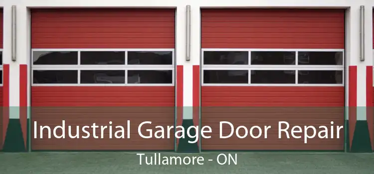 Industrial Garage Door Repair Tullamore - ON