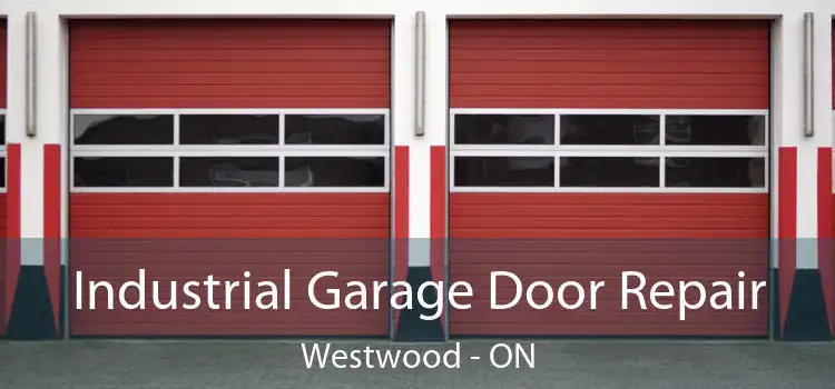 Industrial Garage Door Repair Westwood - ON