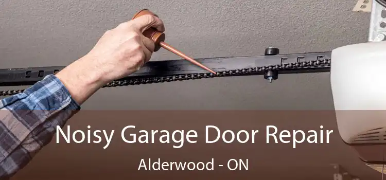  Noisy Garage Door Repair Alderwood - ON