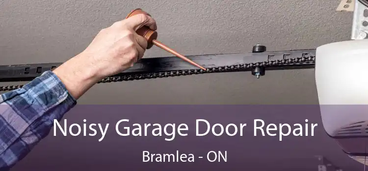 Noisy Garage Door Repair Bramlea - ON