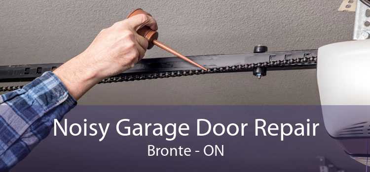 Noisy Garage Door Repair Bronte - ON