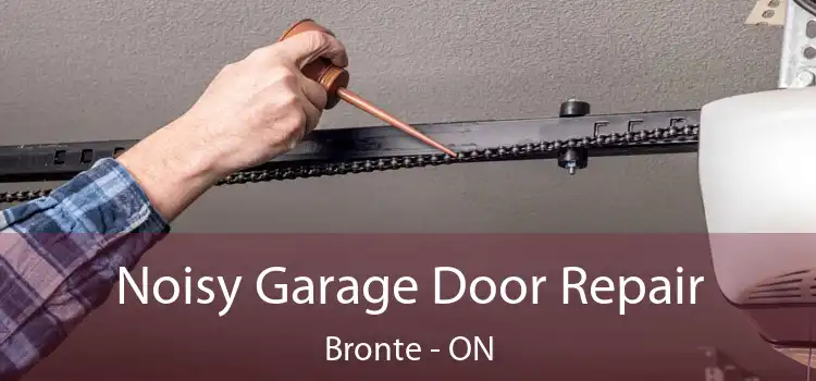  Noisy Garage Door Repair Bronte - ON