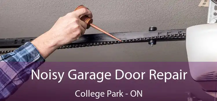 Noisy Garage Door Repair College Park - ON