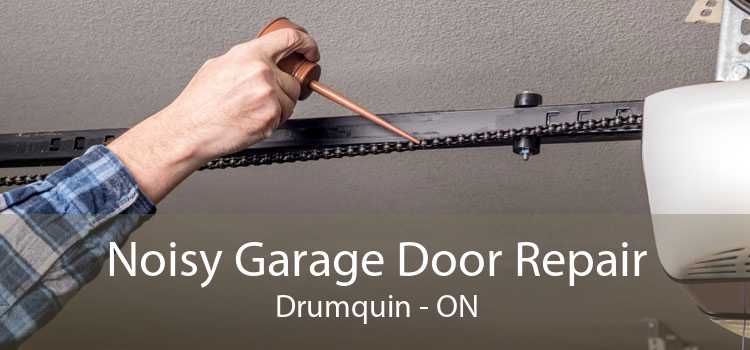 Noisy Garage Door Repair Drumquin - ON