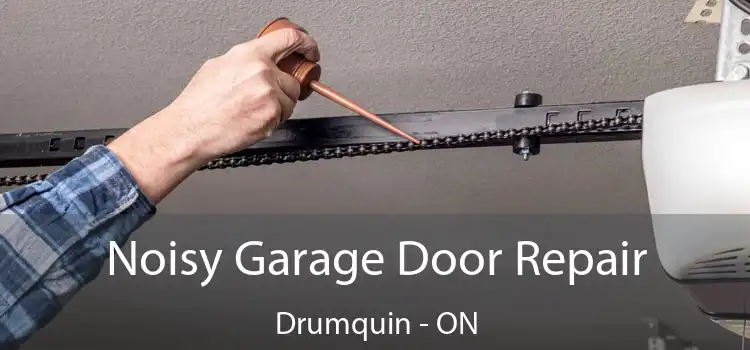  Noisy Garage Door Repair Drumquin - ON