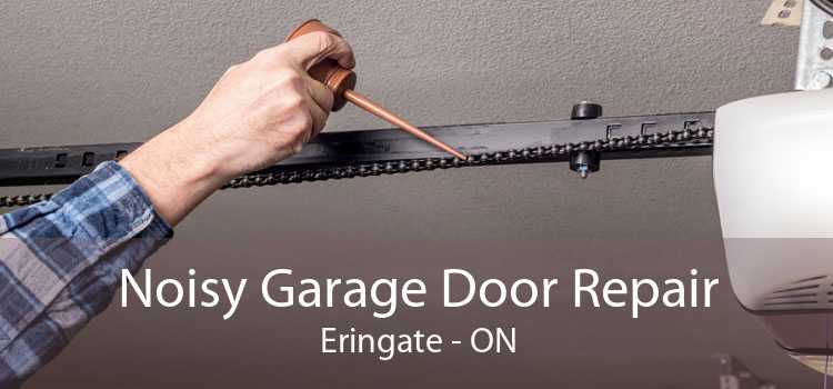 Noisy Garage Door Repair Eringate - ON