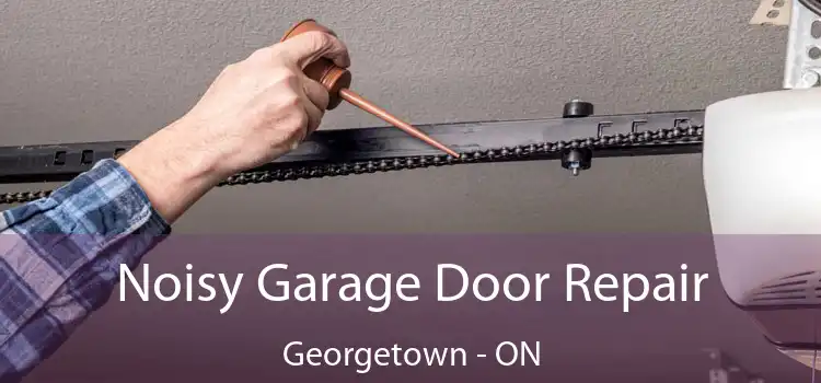 Noisy Garage Door Repair Georgetown - ON