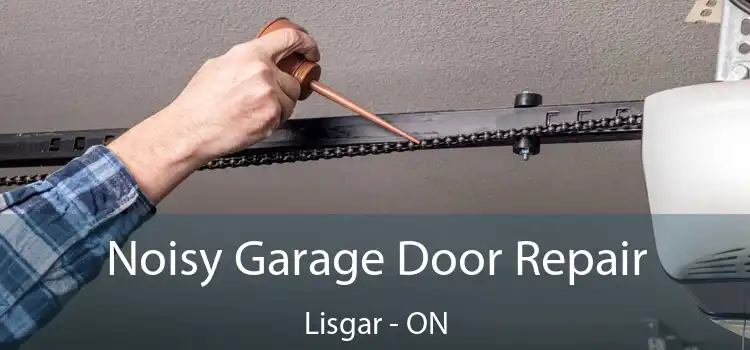 Noisy Garage Door Repair Lisgar - ON