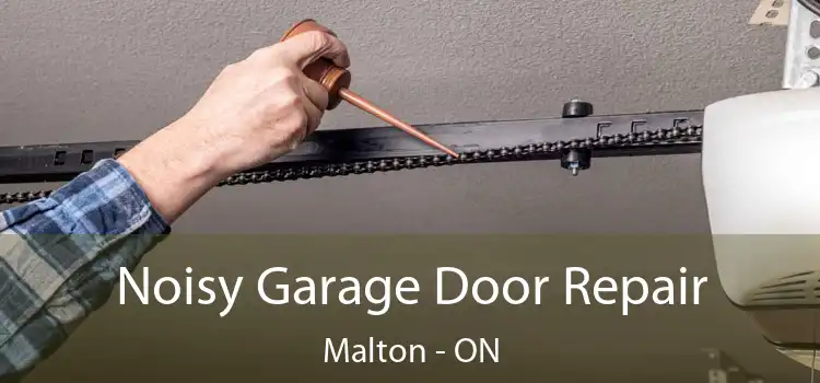 Noisy Garage Door Repair Malton - ON