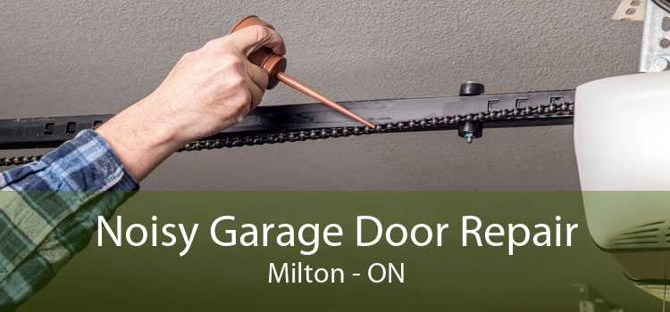 Noisy Garage Door Repair Milton - ON