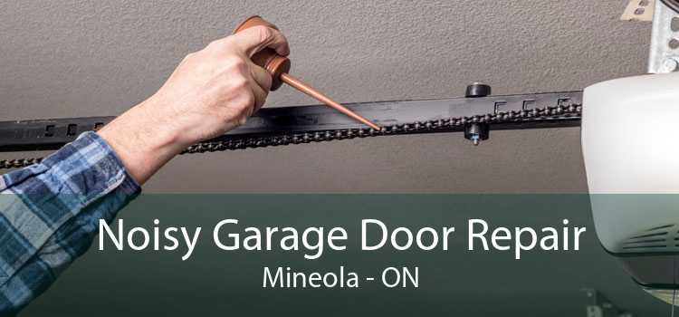 Noisy Garage Door Repair Mineola - ON