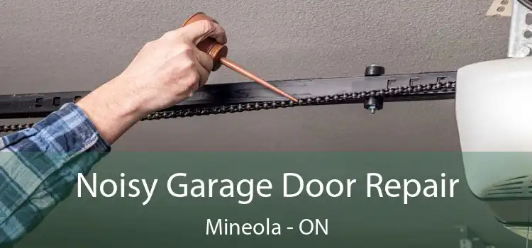 Noisy Garage Door Repair Mineola - ON