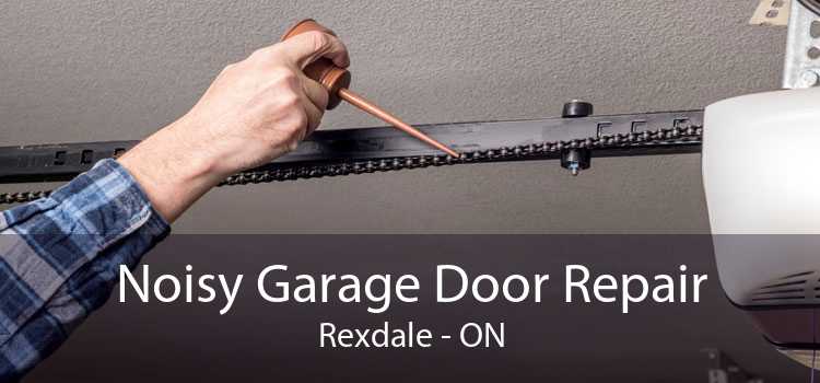 Noisy Garage Door Repair Rexdale - ON