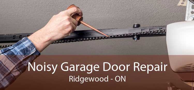 Noisy Garage Door Repair Ridgewood - ON