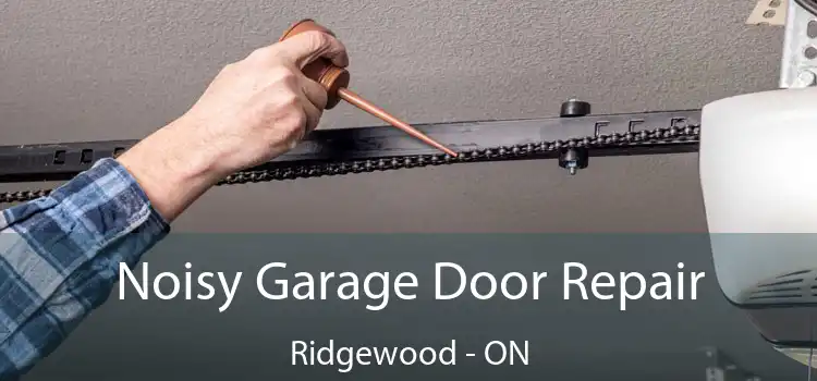 Noisy Garage Door Repair Ridgewood - ON
