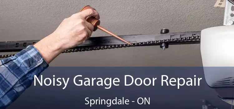 Noisy Garage Door Repair Springdale - ON