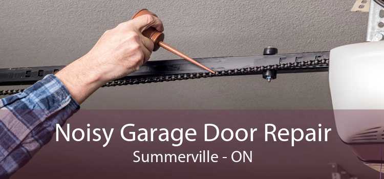 Noisy Garage Door Repair Summerville - ON