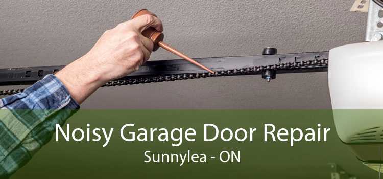 Noisy Garage Door Repair Sunnylea - ON