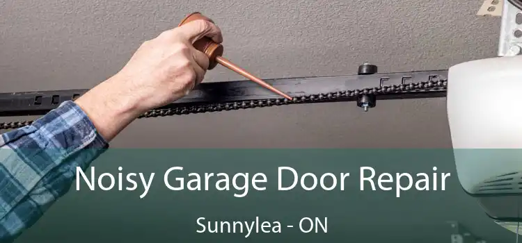 Noisy Garage Door Repair Sunnylea - ON