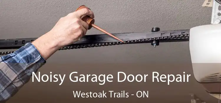  Noisy Garage Door Repair Westoak Trails - ON