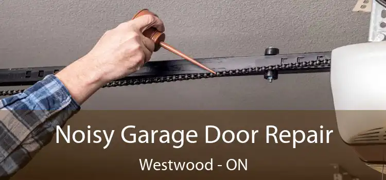 Noisy Garage Door Repair Westwood - ON