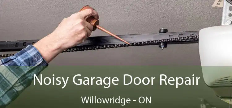 Noisy Garage Door Repair Willowridge - ON