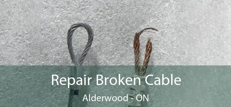 Repair Broken Cable Alderwood - ON