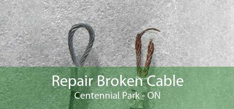 Repair Broken Cable Centennial Park - ON