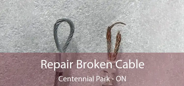 Repair Broken Cable Centennial Park - ON