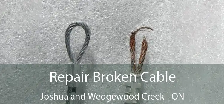 Repair Broken Cable Joshua and Wedgewood Creek - ON