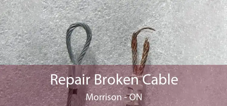 Repair Broken Cable Morrison - ON