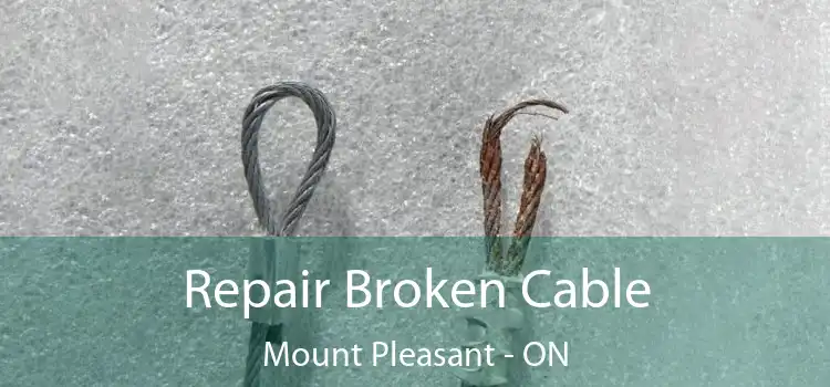 Repair Broken Cable Mount Pleasant - ON
