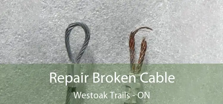  Repair Broken Cable Westoak Trails - ON