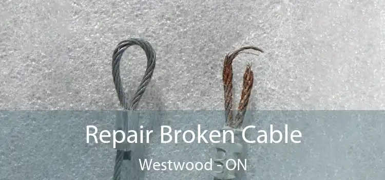 Repair Broken Cable Westwood - ON