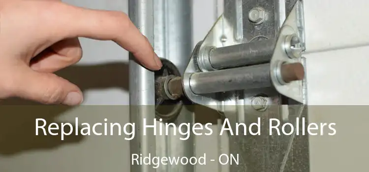  Replacing Hinges And Rollers Ridgewood - ON